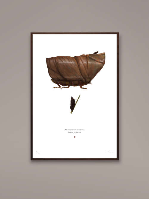 `Ambucastrum arenicola` Deluxe Limited Edition by Richard Wilkinson (Star Wars - Sandcrawler)