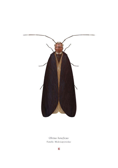 `Obitus Beneficus` Large Format Limited Edition by Richard Wilkinson (Star Wars Obi-Wan Kenobi)