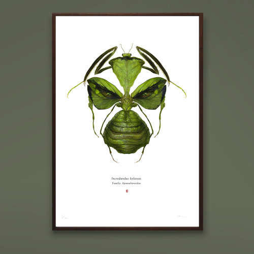 Incredundus Kolossos A4 Limited Edition Print by Wilkinson, Richard (HULK)