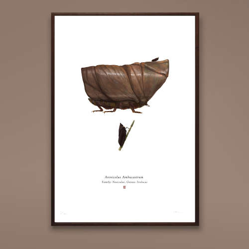 Arenicolus Ambucastrum A4 Limited Edition Print by Wilkinson, Richard (Star Wars -- Sandcrawler)
