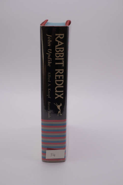 Rabbit Redux by John Updike