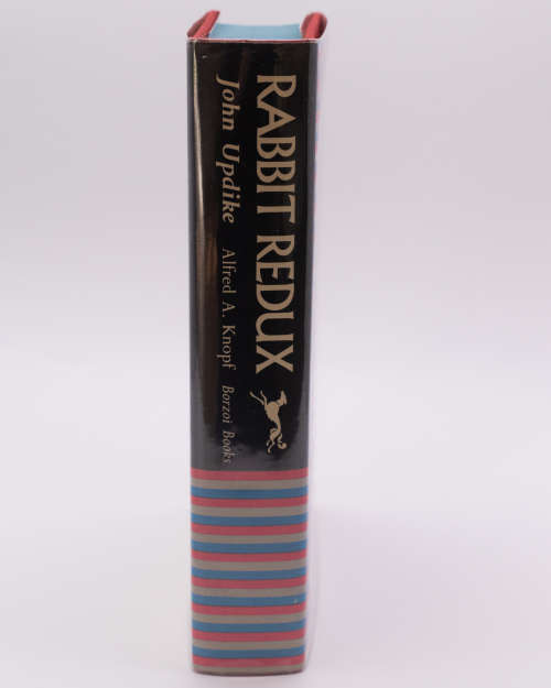 Rabbit Redux by John Updike