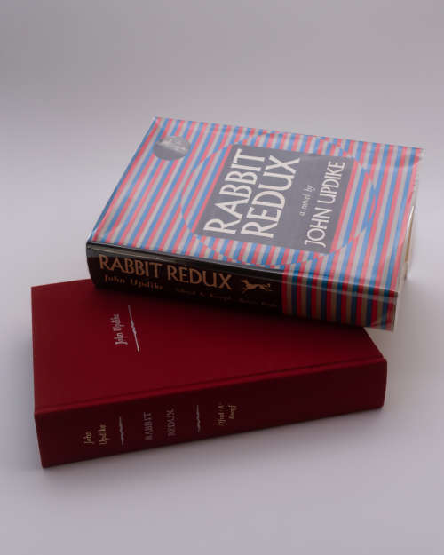 Rabbit Redux by John Updike