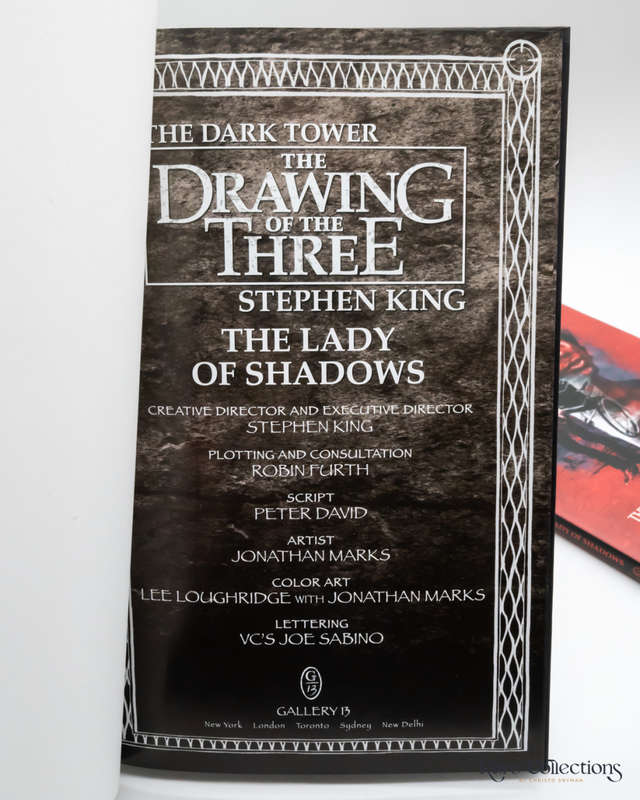 The Lady of Shadows (#3 the Drawing of the Three - Dark Tower)  by Stephen King