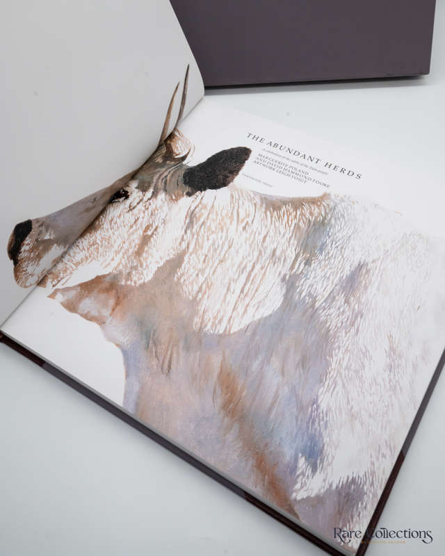 The Abundant Herds by Marguerite Poland and David Hammond-Tooke (Collector`s Edition)