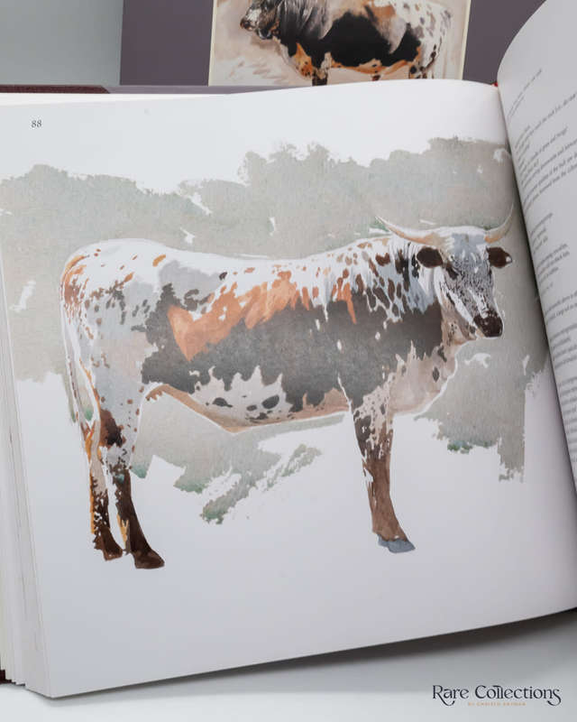 The Abundant Herds by Marguerite Poland and David Hammond-Tooke (Collector`s Edition)