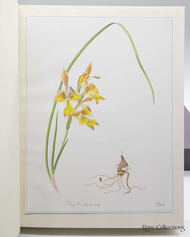 Gladiolus in Southern Africa by Peter Goldblatt & John Manning (Collector`s Edition)