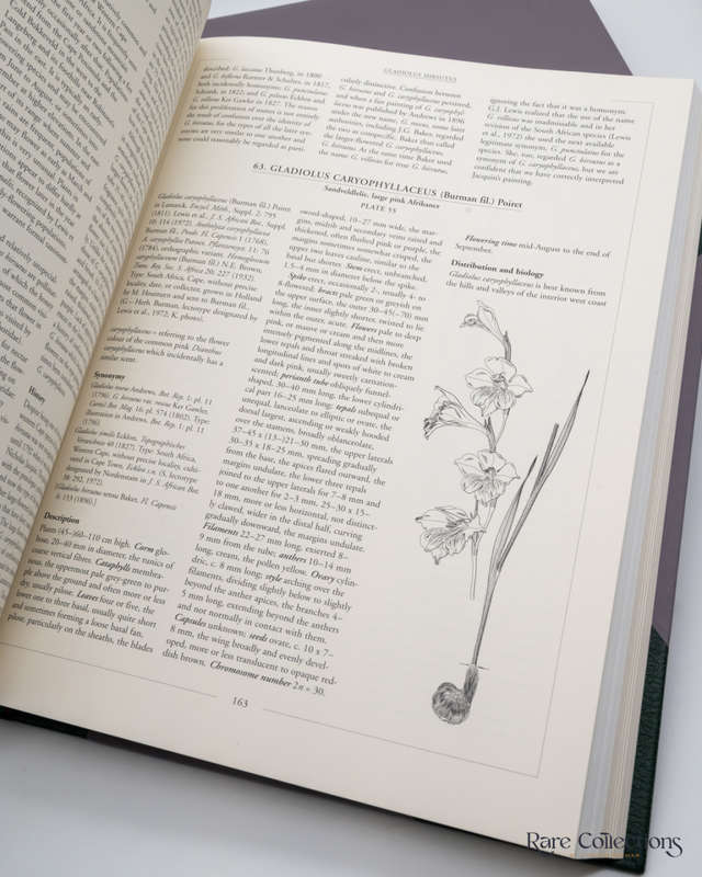 Gladiolus in Southern Africa by Peter Goldblatt & John Manning (Collector`s Edition)