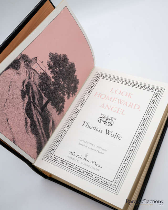Look Homeward, Angel by Thomas Wolfe