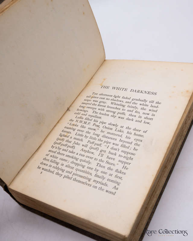 The White Darkness by Lawrence Mott
