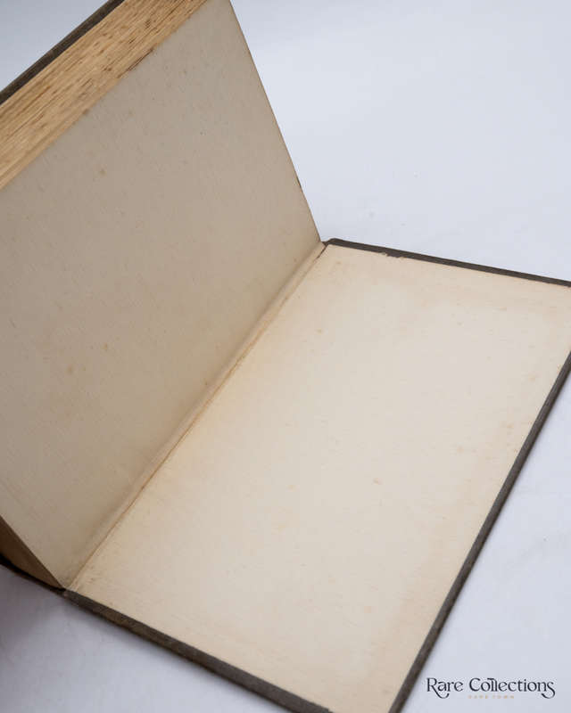 The White Darkness by Lawrence Mott