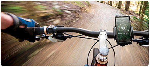 Capdase Universal Cellphone Bike Mount
