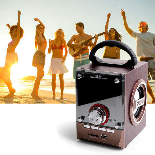 Portable Speaker System : USB + SD + Aux + FM Radio