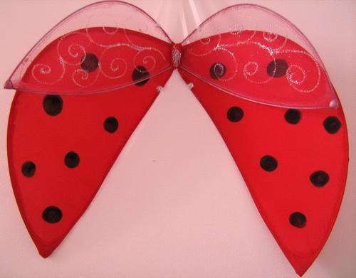 Ladybug Wings