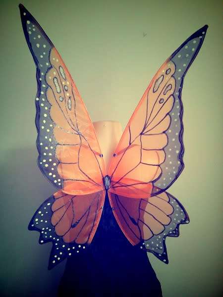 Monarch Butterfly Faerie wings