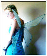 Dragonfly wings