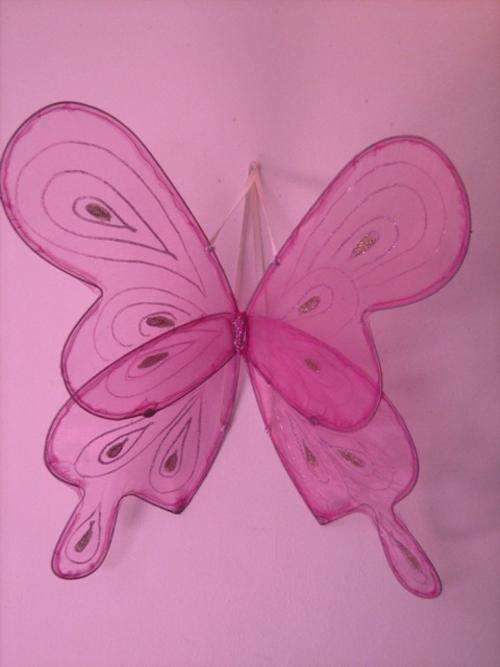 Butterfly Wings