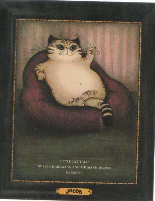 JACOB, LITTLE CAT TALES - SVEN HARTMAN AND THOMAS HARTNER  - 1977
