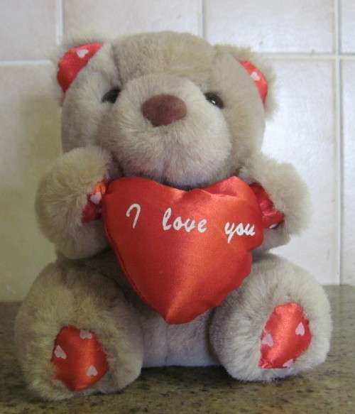 Valentine's Cuddly "I Love You" Bear