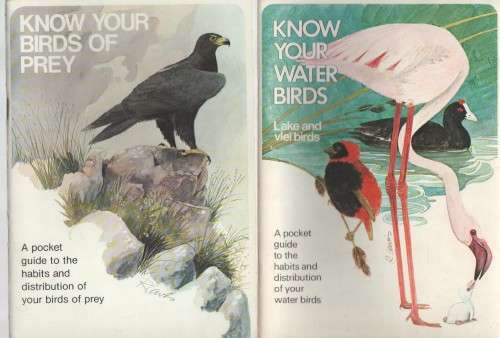 SIX KNOW YOUR NIGHT BIRDS, WATER BIRDS, BIRDS OF PREY, WATER BIRDS, YOUR BIRDS AND GARDEN BIRDS