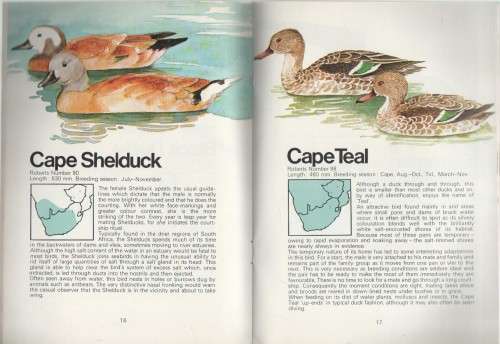 SIX KNOW YOUR NIGHT BIRDS, WATER BIRDS, BIRDS OF PREY, WATER BIRDS, YOUR BIRDS AND GARDEN BIRDS