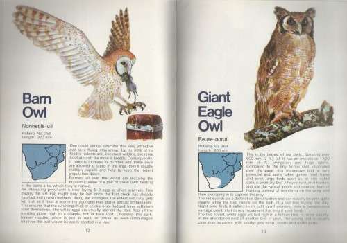 SIX KNOW YOUR NIGHT BIRDS, WATER BIRDS, BIRDS OF PREY, WATER BIRDS, YOUR BIRDS AND GARDEN BIRDS