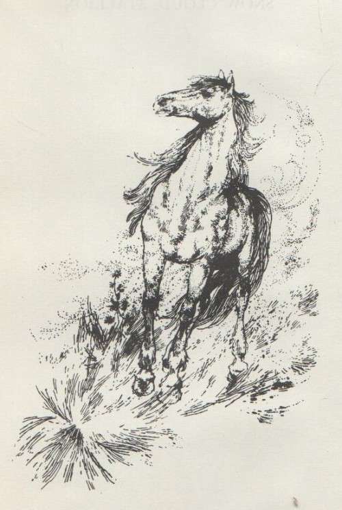 SNOW CLOUD, STALLION - GERALD RAFTERY (5 TH IMPRESSION 1976)
