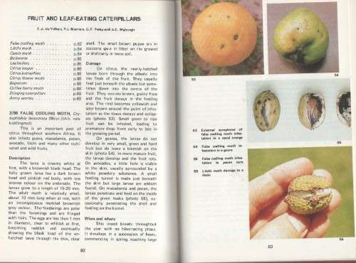 CROP PESTS IN SOUTHERN AFRICA. VOL. 2 CITRUS AND OTHER SUBTROPICALS - A C MYURGH (1987)