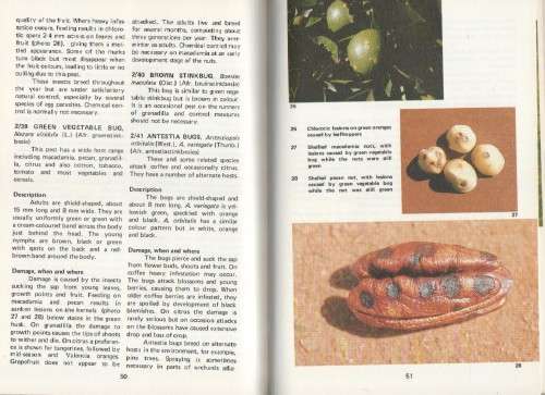 CROP PESTS IN SOUTHERN AFRICA. VOL. 2 CITRUS AND OTHER SUBTROPICALS - A C MYURGH (1987)