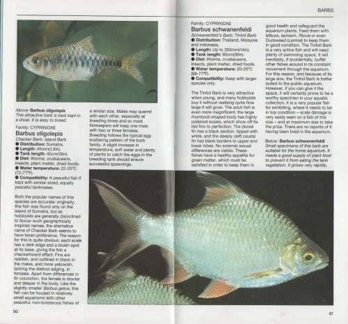GUIDE TO TROPICAL AQUARIUM FISHES - DICK MILLS (1988)