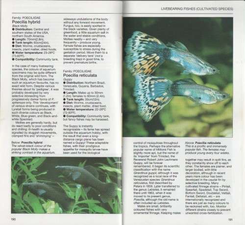 GUIDE TO TROPICAL AQUARIUM FISHES - DICK MILLS (1988)