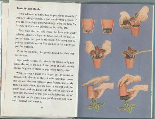 INDOOR GARDENING - A LADYBIRD BOOK (1 ST PUBLISHED 1969)