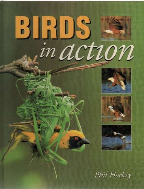 BIRDS IN ACTION - PHIL HOCKEY (1 ST PUBLISHED 1996)