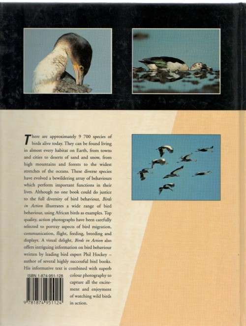 BIRDS IN ACTION - PHIL HOCKEY (1 ST PUBLISHED 1996)