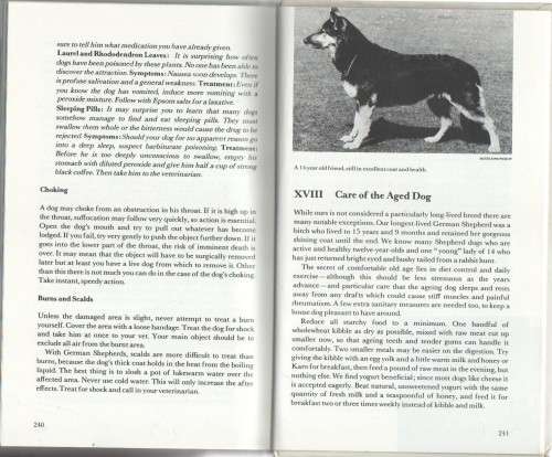 GERMAN SHEPHERD GUIDE - MADELEINE PICKUP (1969)