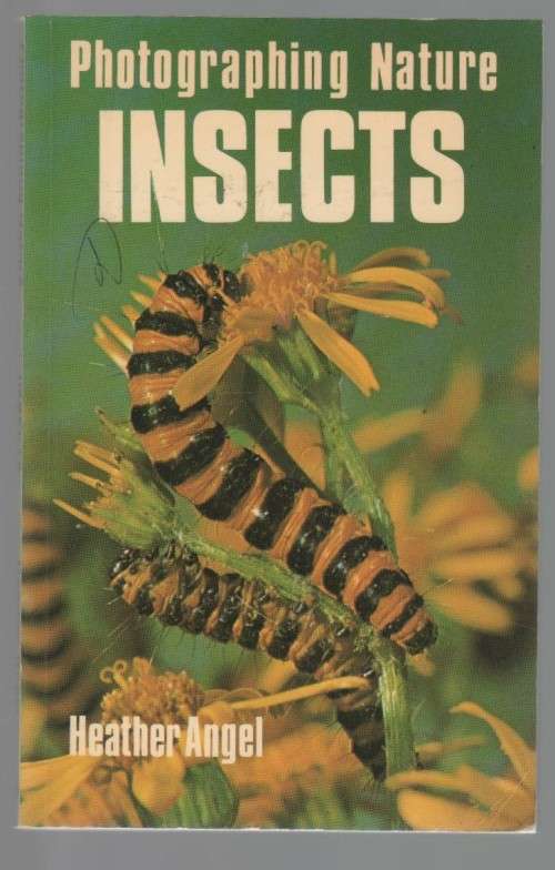 PHOTGRAPHING NATURE INSECTS - HEATHER ANGEL (1 ST PUBLISHED 1975)