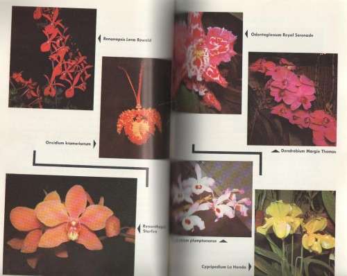 YOU CAN GROW ORCHIDS - MARY NOBLE (1964)