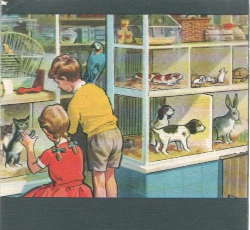 THE STORY MAKER`S PICTURE DICTIONARY - J NOEL (1967)