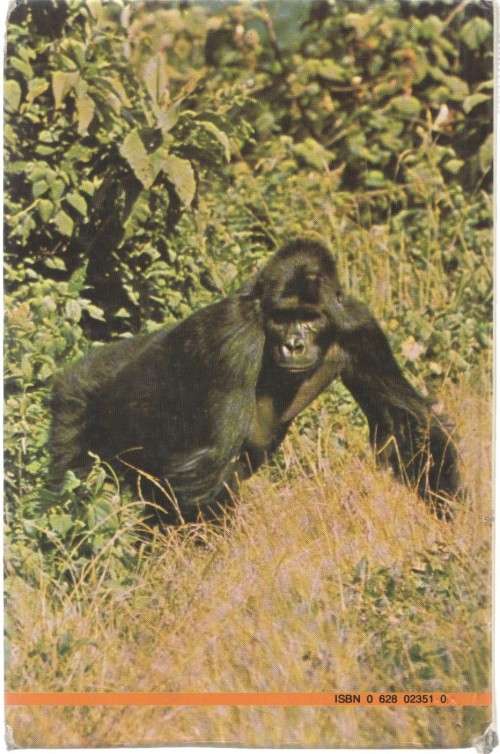 GORILLAS, DIERE VAN DIE WERELD - ANTHONY WOOTTON (1 STE UITGAWE 1983)