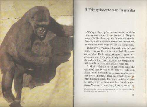 GORILLAS, DIERE VAN DIE WERELD - ANTHONY WOOTTON (1 STE UITGAWE 1983)