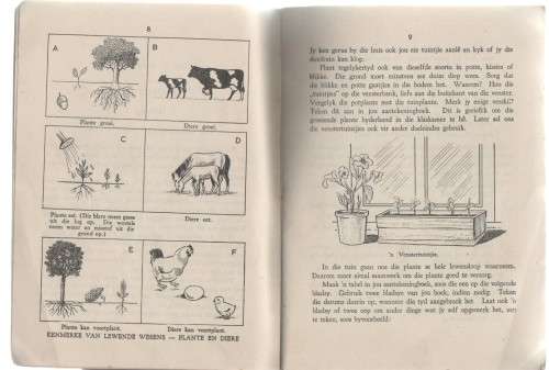 NATUURLEER, STANDERD III - P MCLACHLAN EN P GROENEWOUD (2 DE DRUK)