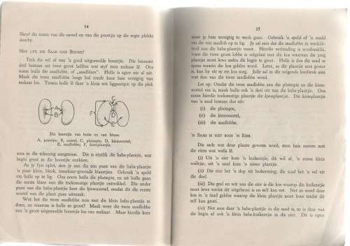 NATUURLEER, STANDERD III - P MCLACHLAN EN P GROENEWOUD (2 DE DRUK)