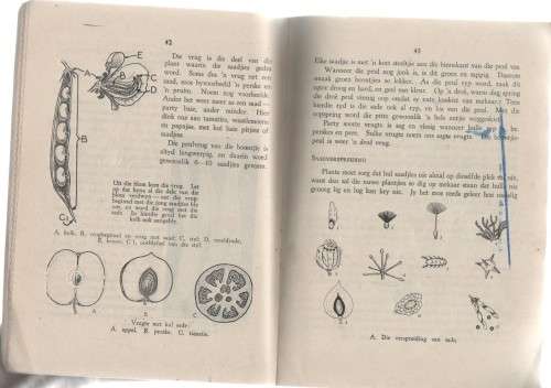 NATUURLEER, STANDERD III - P MCLACHLAN EN P GROENEWOUD (2 DE DRUK)