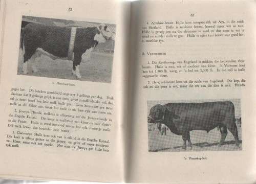 NATUURLEER, STANDERD III - P MCLACHLAN EN P GROENEWOUD (2 DE DRUK)