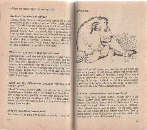 ROLF HARRIS ON SAFARI QUIZ BOOK - MARTIN BANKS (1 ST PUBLISHED 1979)