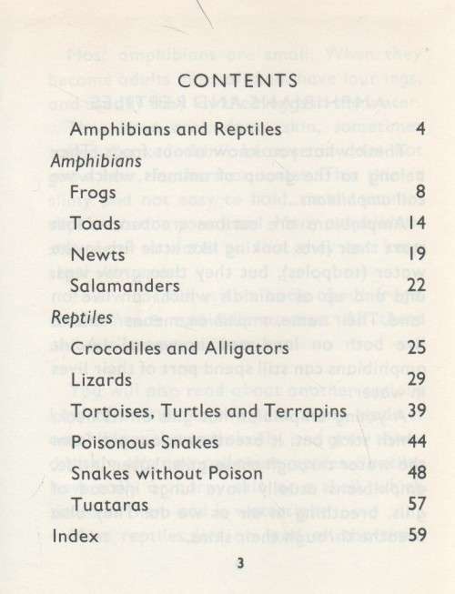 AMPHIBIANS AND REPTILES - ALAN JAMES (1977)