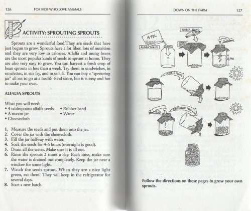 FOR KIDS WHO LOVE ANIMALS - LINDA KOEBNER (1991)