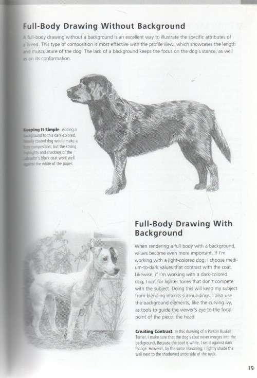 DOGS & PUPPIES - NOLON STACEY (2007)