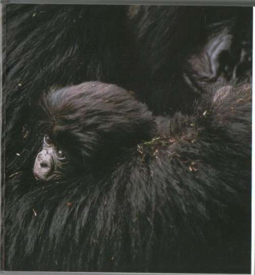 NATIONAL GEOGRAPHIC, THE PHOTOGRAPHS - LEAH BENDAVID-VAL