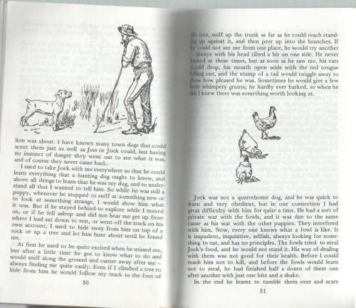 JOCK OF THE BUSHVELD - PERCY FITZ PATRICK (1995)